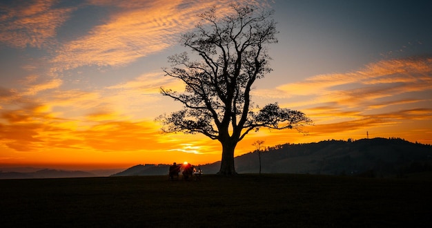 Silhouette friends sitting on against sky during sunset