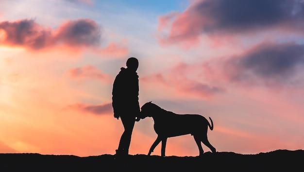 Silhouette of a girl with a big dog at sunset