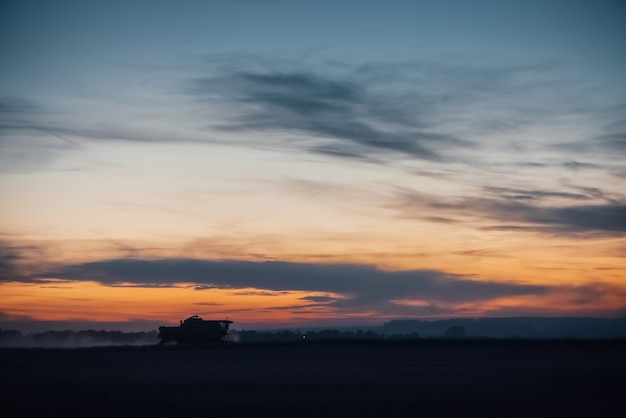 Silhouette of harvester machine to harvest wheat on sunset. 