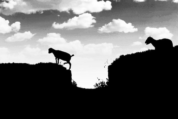 Photo silhouette of a horse