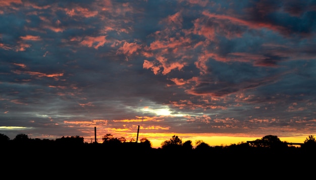 家と美しい夕日の間にグラデーションの青いオレンジ色の空と木のシルエット