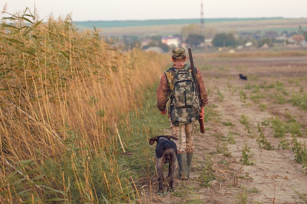 Silhouette of a hunter with a gun in the reeds against the sun, an ambush for ducks with dogs