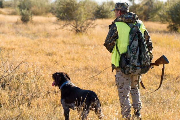 太陽に対して葦に銃を持ったハンターのシルエット、犬とアヒルの待ち伏せ