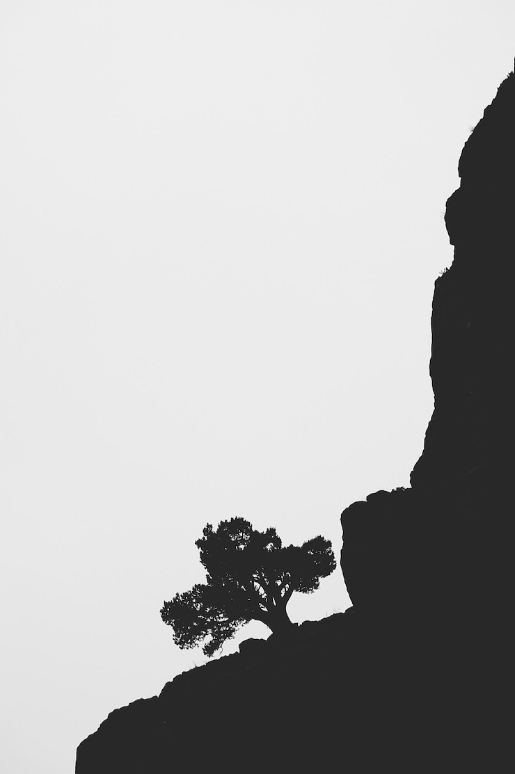 Photo ⁇ 은 하늘을 배경으로 실루 ⁇  풍경