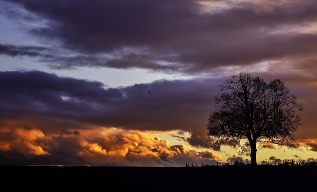 Photo silhouette landscape against dramatic sky