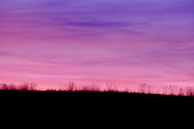 夕暮れの空を背景に描かれたシルエット風景