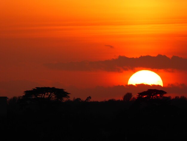 Foto silhouette del paesaggio al tramonto