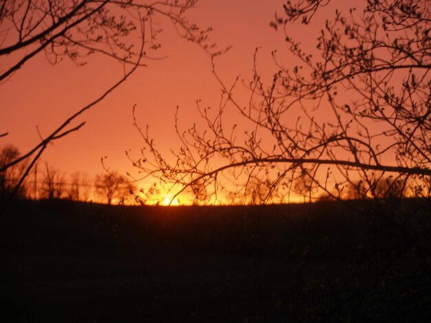 Foto silhouette del paesaggio al tramonto