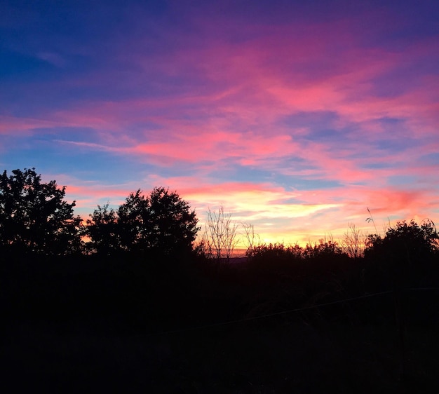 夕暮れの風景のシルエット