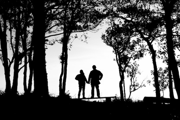 Silhouette di coppia di amore in alberi di confine, schiena e tono bianco