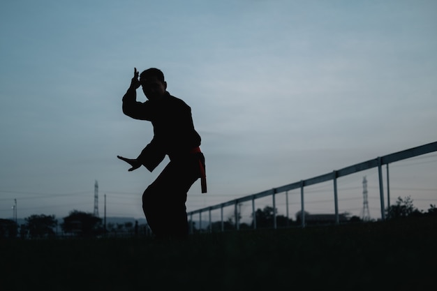 Silhouette of male warrior with side stance movement on dark blue sky