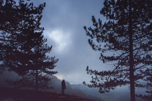 Foto silhouette uomo in mezzo a silhouette albero sulla montagna contro il cielo nuvoloso