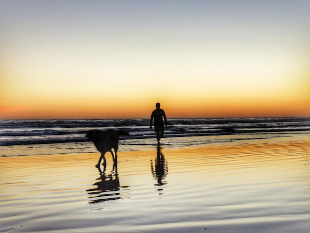 Foto silhouette di uomo e cane sulla spiaggia contro il cielo durante il tramonto