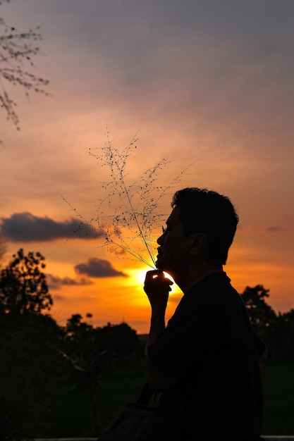 Silhouette of a man holding reed flowers.