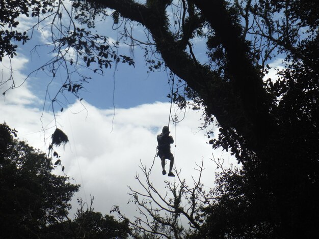 silhouette of man rappelling on a tree against blue cloudy sky