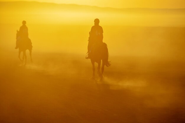 Silhouette man riding horse on beach against sky during sunset