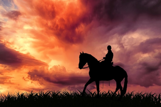 Photo silhouette man riding horse on field against sky during sunset