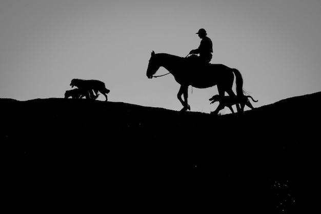 Photo silhouette man riding horse while dogs walking on hill against clear sky