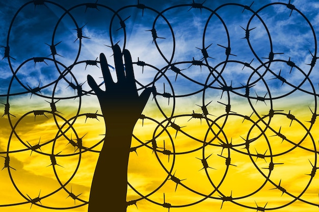 Silhouette of a man\'s hand against the background of a fence\
with barbed wire and the sky in the form of the flag of ukraine\
concept for war and crisis in ukraine with russia
