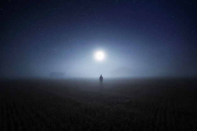 夜の霧の天候で空に逆らって芝生の野原の中に立っているシルエットの男