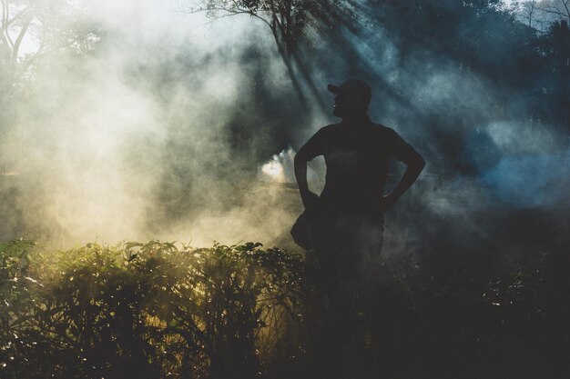 Photo silhouette man standing amidst smoke in forest