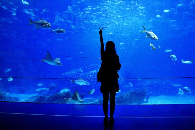 Foto l'uomo a silhouette in piedi nell'acquario