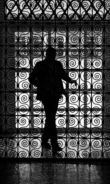 Silhouette man standing at corridor of building