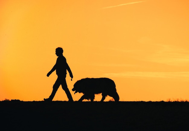 Silhouette man standing on field against orange sky