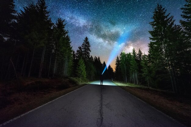 Фото Силуэт человека, стоящего на дороге среди деревьев в лесу на фоне звездного поля ночью
