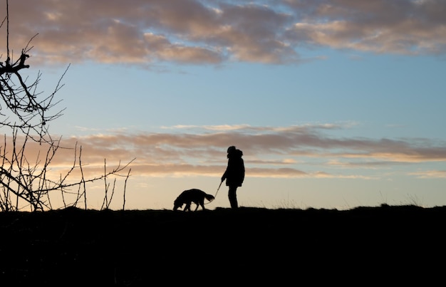 silhouette man standing with dog on field against sky during sunset