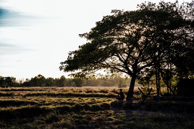 silhouette of a man and a tree in a sunset