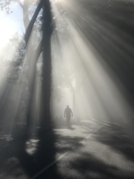 写真 霧の天候で道路を歩くシルエットの男