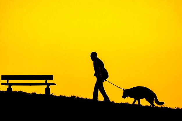 Silhouette man with dog against sky during sunset
