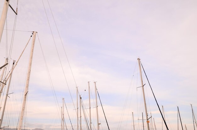 Silhouette Masts