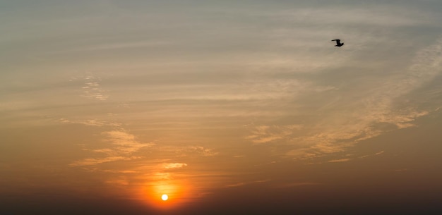 写真 夕暮れの空に向かって飛ぶ鳥のシルエット