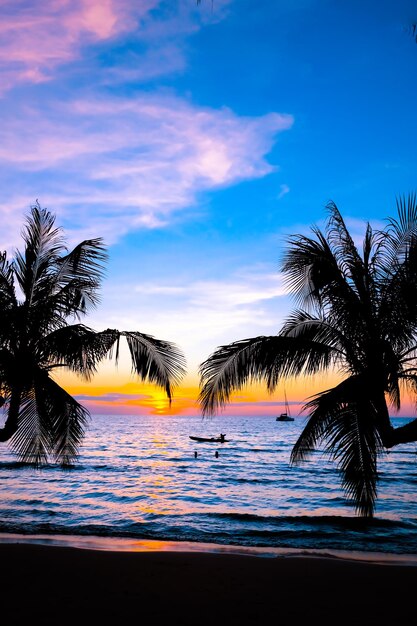 Фото Силуэт красивого захода солнца на морском пляже с пальмой для путешествия в отпуске время отдыха на фоне природы