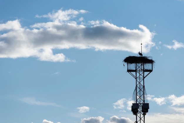 写真 青い空を背景にタワーの巣とコウノトリのシルエット