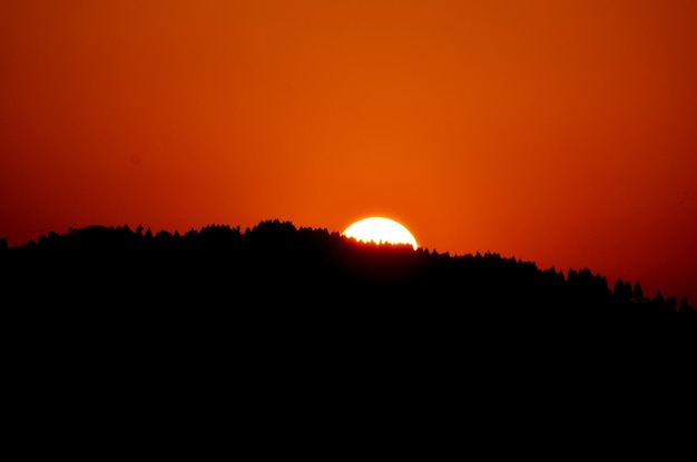 Foto silhouette di un tramonto arancione