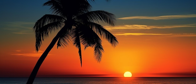 Silhouette Palm at Sunset