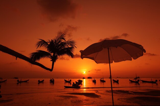 Foto silhouette di palma sulla spiaggia contro il cielo durante il tramonto