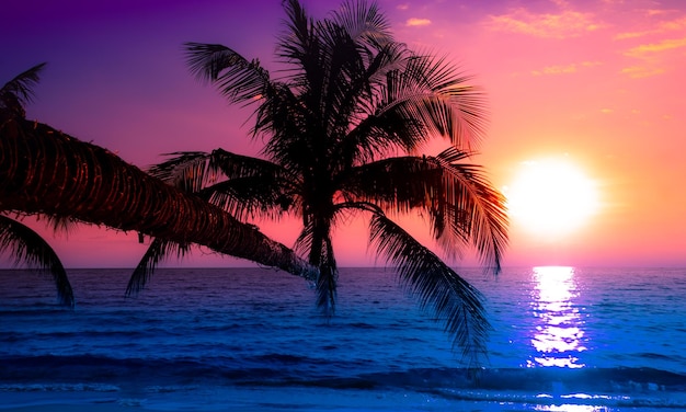 Photo silhouette of palm tree on the beach during sunset of beautiful a tropical beach on pink sky background
