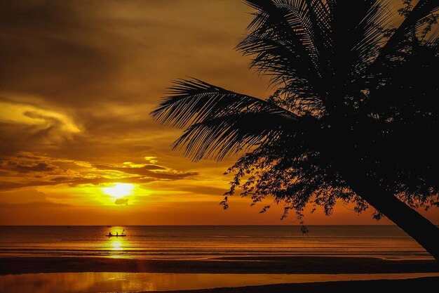 Silhouette palm tree by sea against romantic sky at sunset