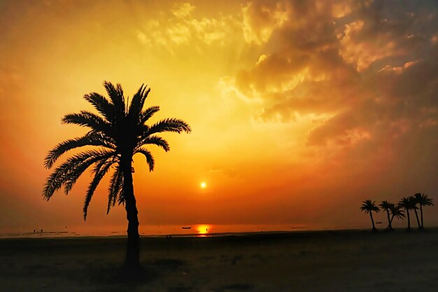 Silhouette palm tree by sea against sky during sunset