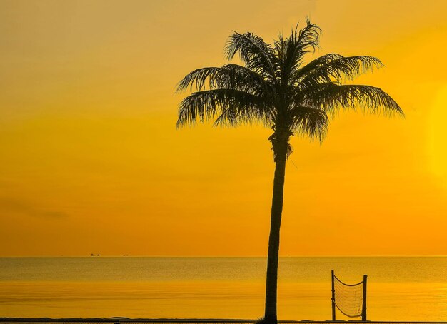 Silhouette palm tree by sea against sky during sunset