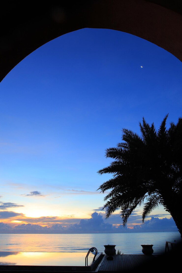 Photo 夕暮れの青い空に照らされたナツメヤシのシルエット