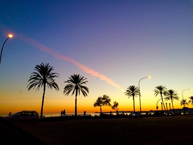 Silhouette palm trees against sky during sunset