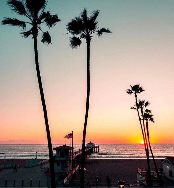 Photo silhouette palm trees on beach against sky during sunset