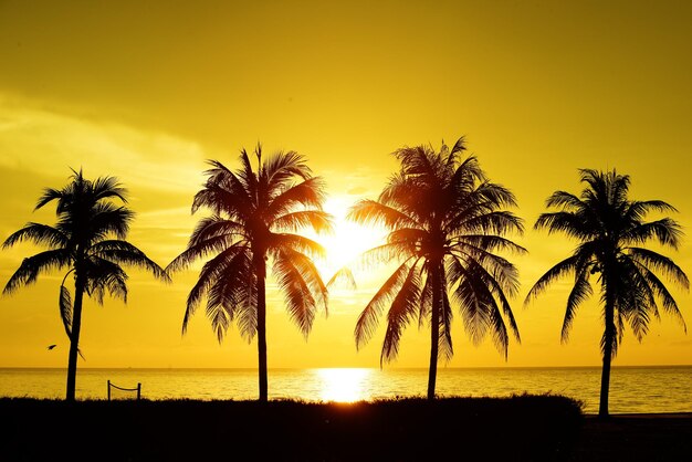 Foto silhouette di palme sulla spiaggia contro il cielo durante il tramonto