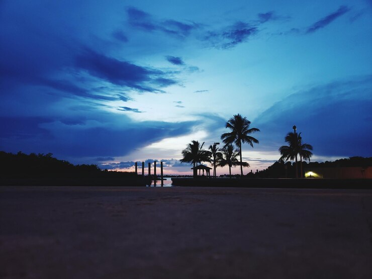 Photo 夕暮れの空を背景にビーチのナツメヤシのシルエット
