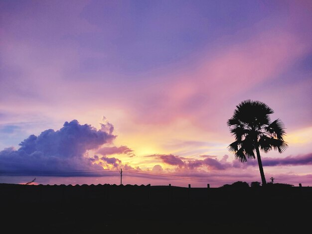 Silhouette palm trees on beach against sky at sunset